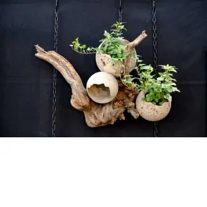 ROSAN ART