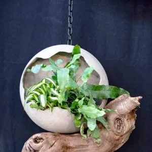 ROSAN ART